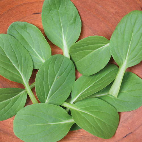 Li Ren Choi, Pak Choi Cabbage