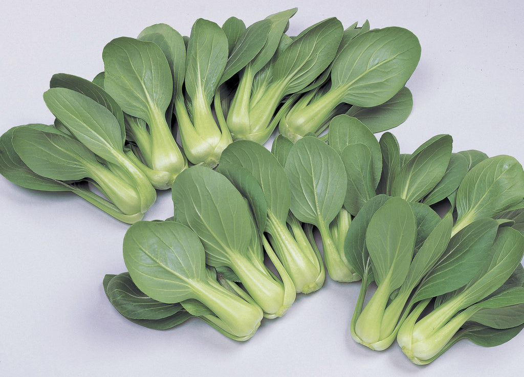 Li Ren Choi, Pak Choi Cabbage
