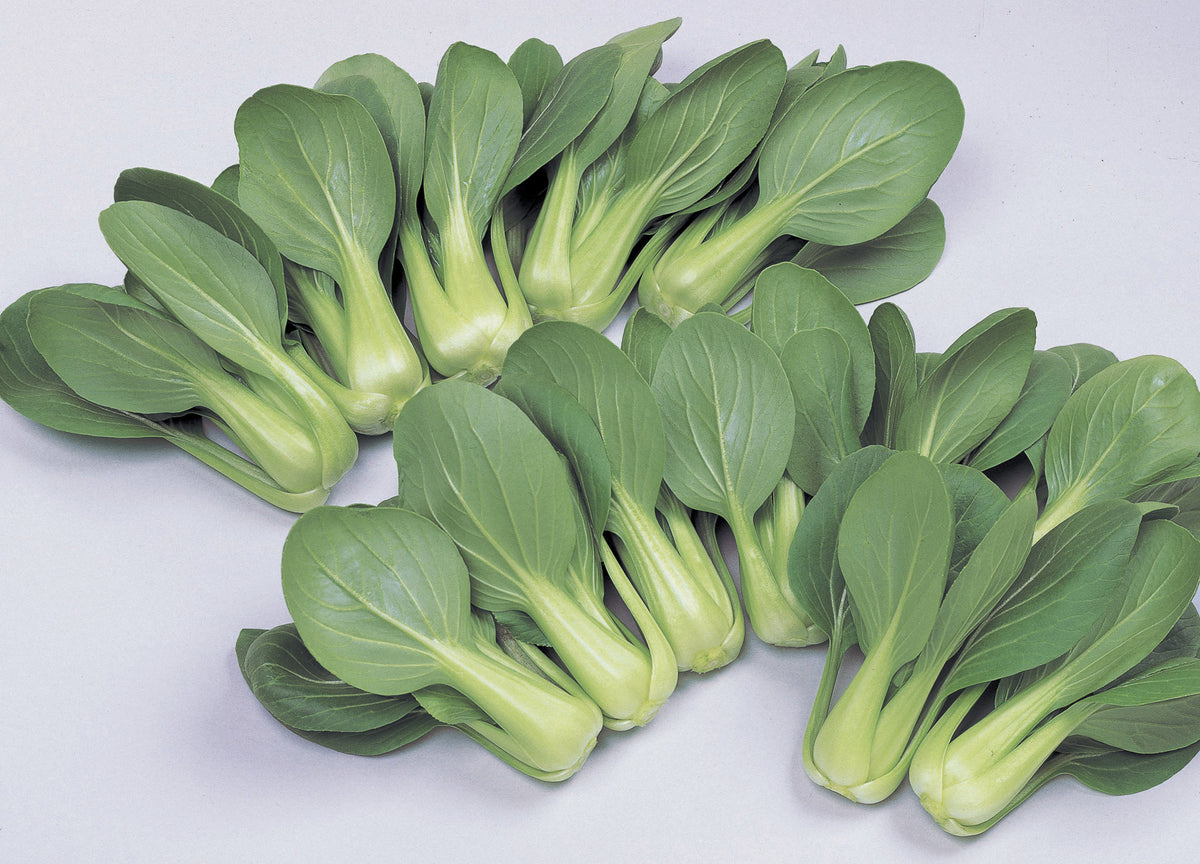 Li Ren Choi, Pak Choi Cabbage