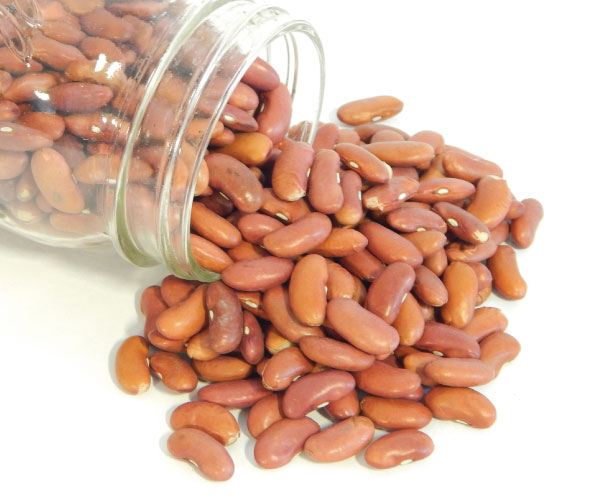 Light Red Kidney, Bean Seeds