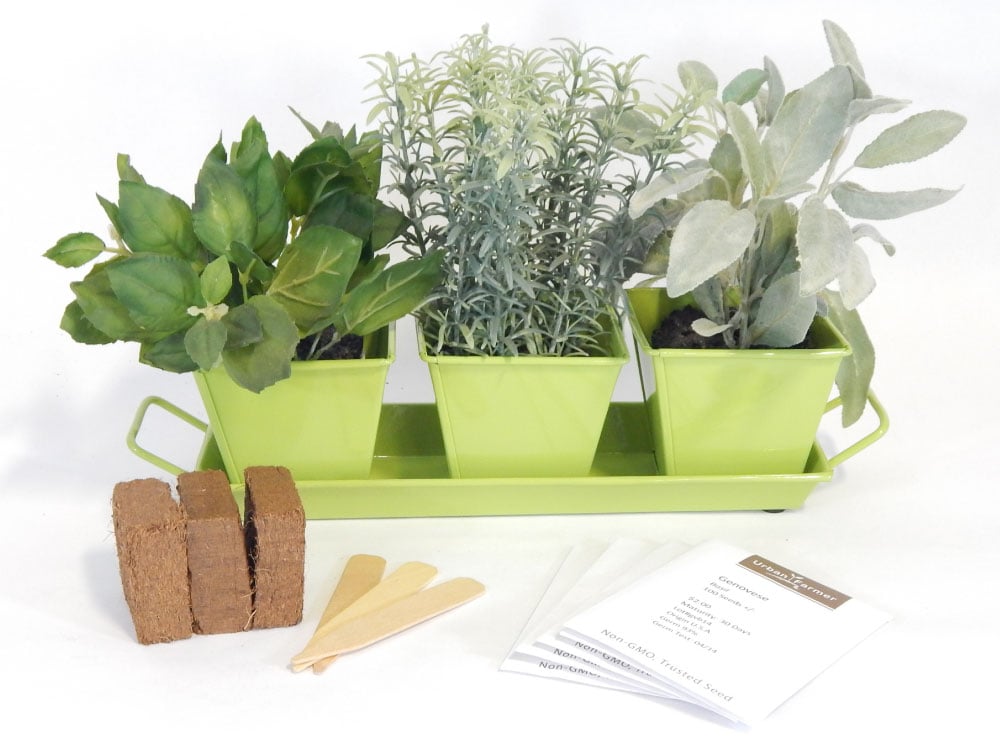Metal Herb Kit (Square), Herb Kit