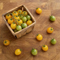 Limoncito, (F1) Tomato Seeds