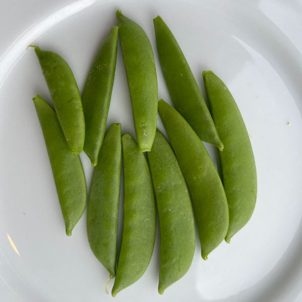 Little SnapPea Petite, Pea Seeds