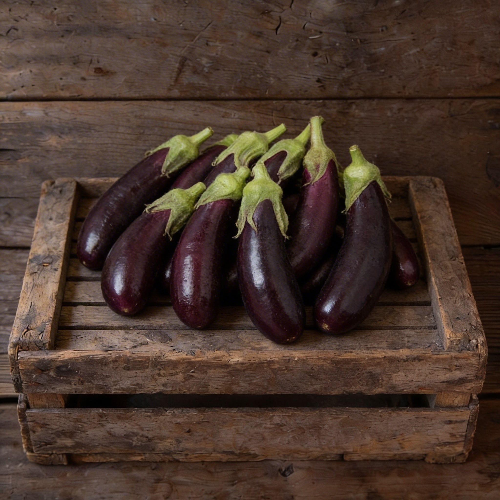 Little Finger, Eggplant Seeds