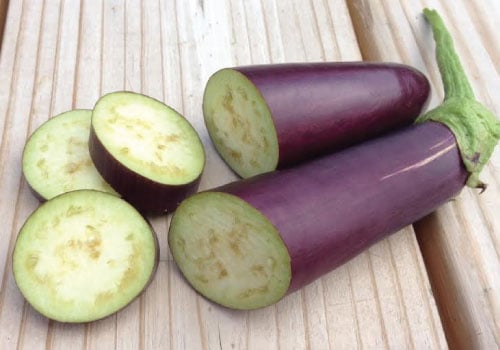 Long Purple, Eggplant Seeds