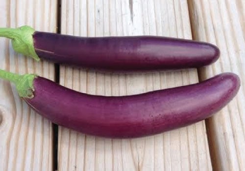 Long Purple, Eggplant Seeds