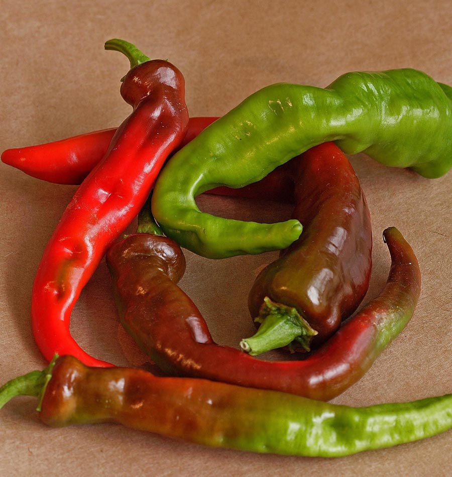 Cayenne Long Red Thick, Pepper Seeds