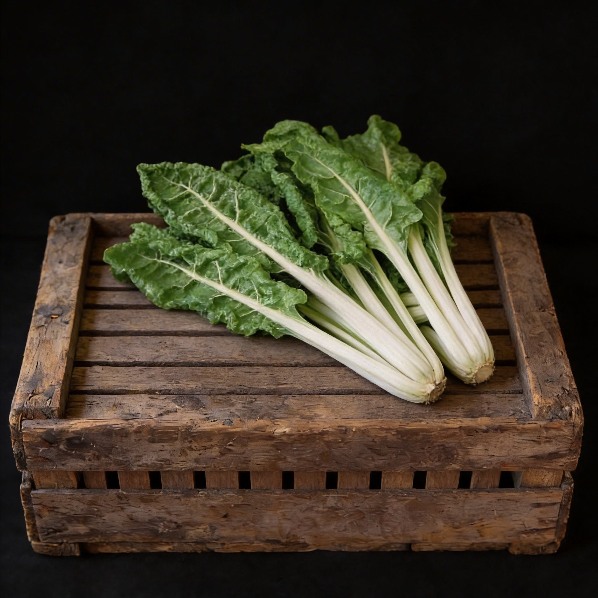 Lucullus, Swiss Chard Seeds