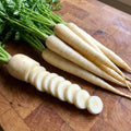 Lunar White, Carrot Seeds