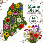 Maine Blend, Wildflower Seed