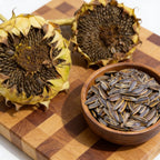 Mammoth Grey Stripe, Sunflower Seeds