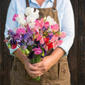 Mammoth Mix, Sweet Pea Seeds