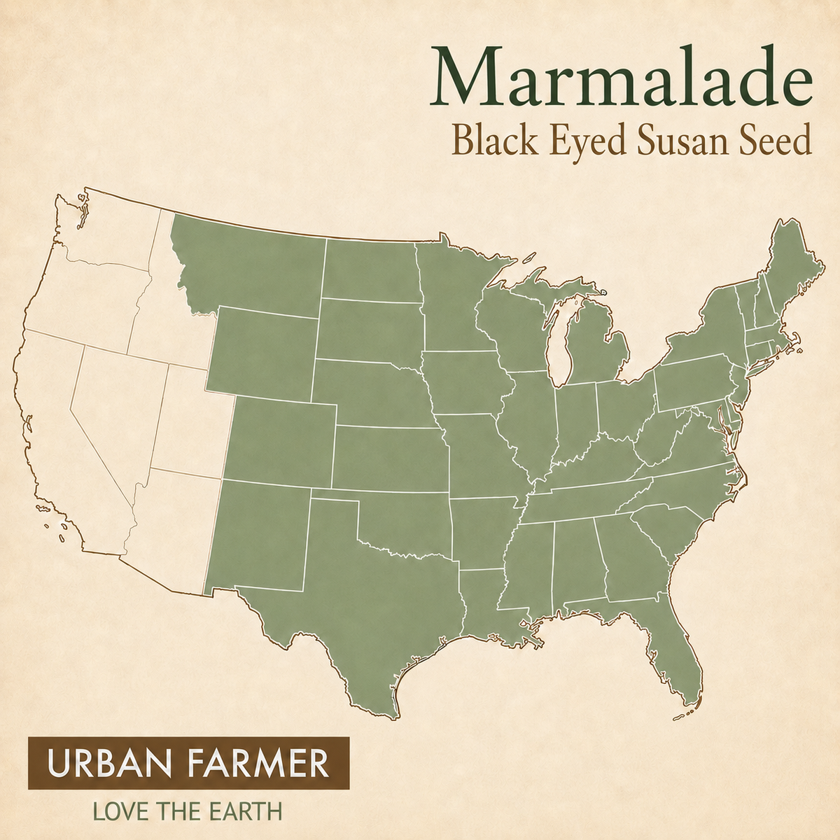 Marmalade, Black-Eyed Susan Seed