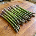 Mary Washington, Asparagus Roots