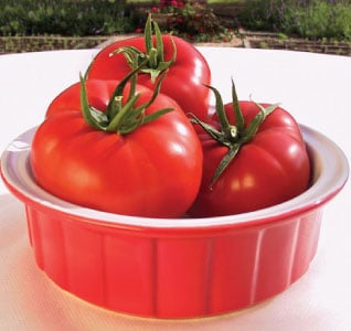 Mater Sandwich, (F1) Tomato Seeds