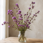 Meadow, Blazing Star Seed