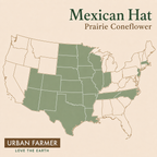 Mexican Hat Prairie Coneflower native map