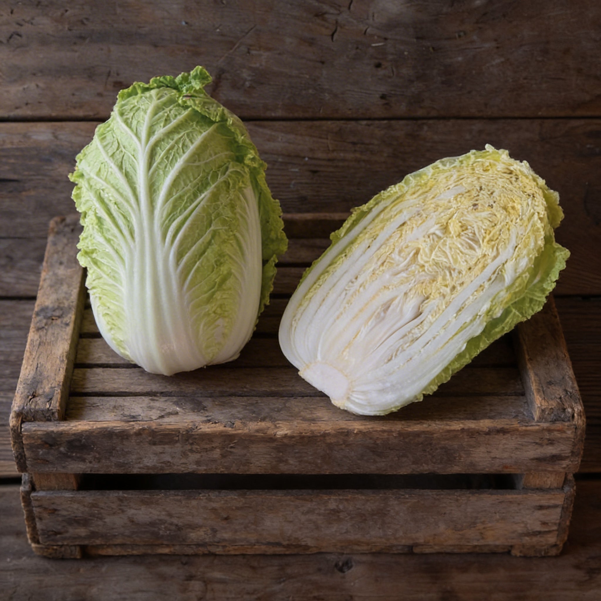 Michihili, Pak Choi Cabbage