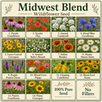 Midwest Flower Variety Chart