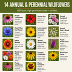 Illinois Blend, Wildflower Seed