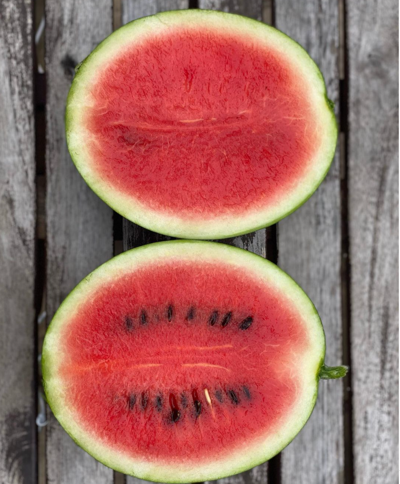 Mini Love, (F1) Watermelon Seeds