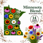 Minnesota Blend, Wildflower Seed