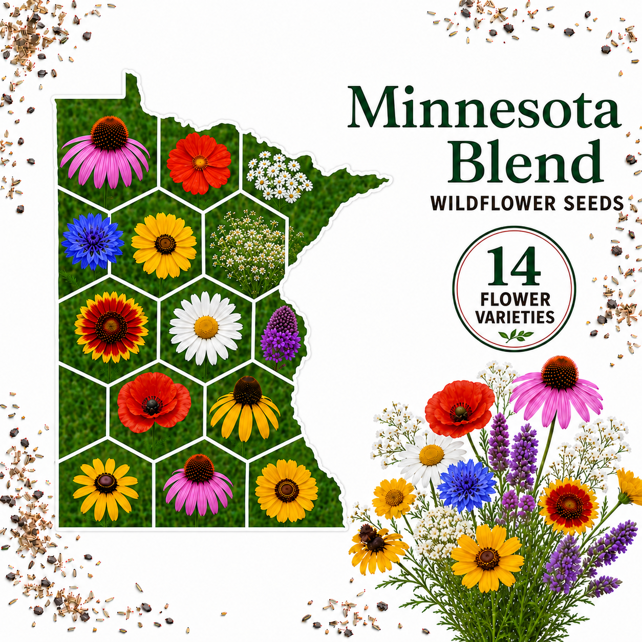 Minnesota Blend, Wildflower Seed