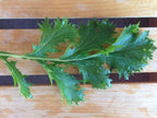 Mizuna Green Mustard Seed, Greens