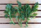 Mizuna Green Mustard Seed, Greens
