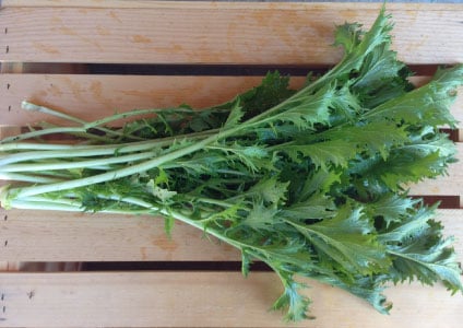 Mizuna Green Mustard Seed, Greens