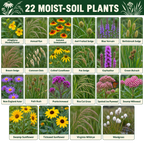 Moist Soil Blend Flower Chart