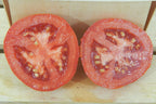 Moneymaker, Tomato Seeds