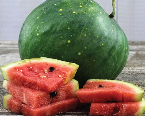 Moon and Stars, Watermelon Seeds