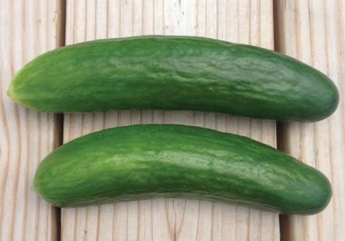 Muncher, Cucumber Seeds