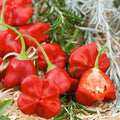 Mushroom Red, Pepper Seeds