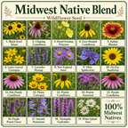 Native Midwest Flower Variety Chart
