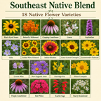 Native Southeast Flower Variety Chart