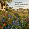 Native Texas and Oklahoma Wildflower