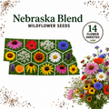 Nebraska Blend, Wildflower Seed