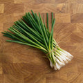 Nebuka Evergreen Bunching, Onion Seeds