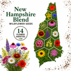 New Hampshire Blend, Wildflower Seed