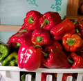 New Ace, (F1) Pepper Seeds