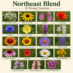 Northeast Blend Flower Chart