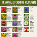 Virginia Blend, Wildflower Seed