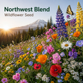 Northwest Blend Wildflower