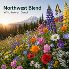 Northwest Blend Wildflower