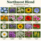 Northwest Flower Variety Chart