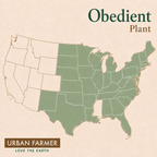 Obedient Plant native map
