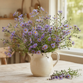 Oblongifolius, Aster Seed