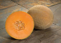 Olympic Express, (F1) Melon Seeds